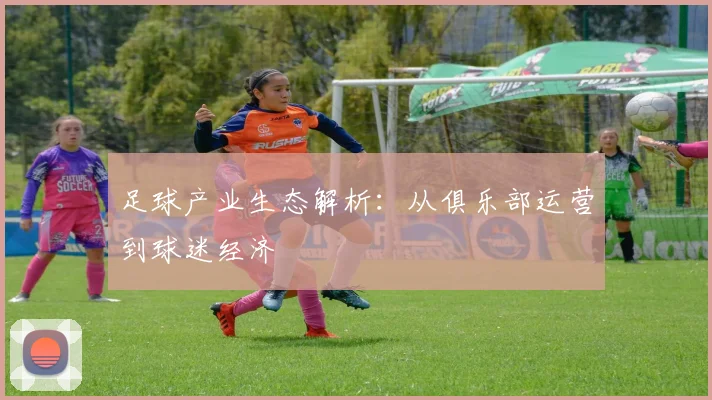 足球产业生态解析：从俱乐部运营到球迷经济